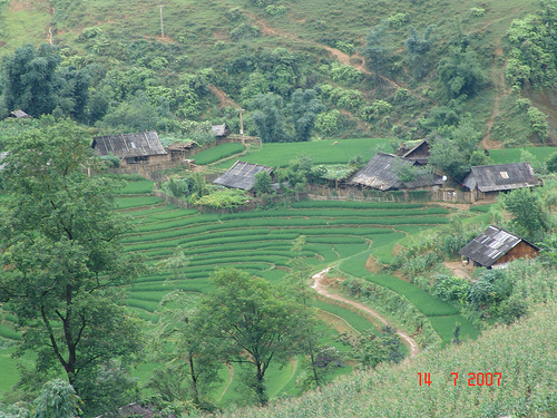 Hình ảnh Bản Mòng - Bản Mòng