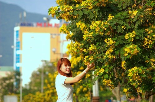 Hình bài viết Nét đẹp người Đà Nẵng