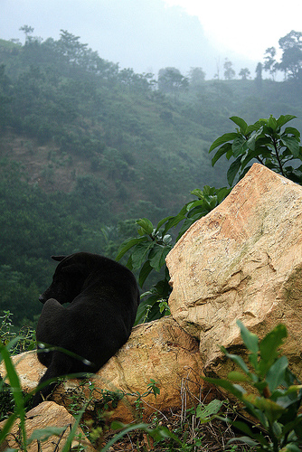 Hình ảnh Hàm Yên - Hàm Yên