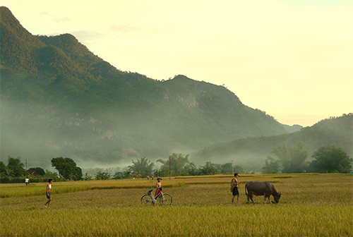 Hình ảnh Mai Châu - Thung lũng Mai Châu