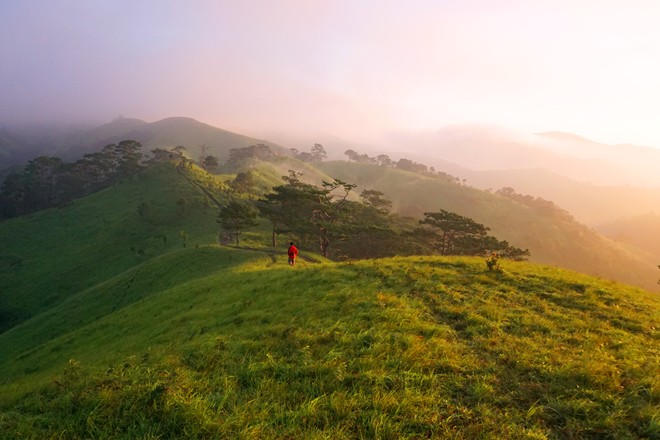 Hình bài viết Cung đường trek đẹp nhất Việt Nam