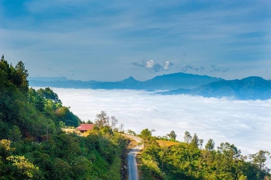 Hình bài viết Trải nghiệm "săn mây" Sìn Hồ