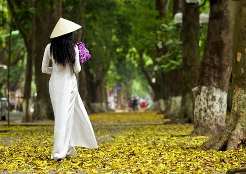 Hình bài viết Ngắm Hà Nội vào thu