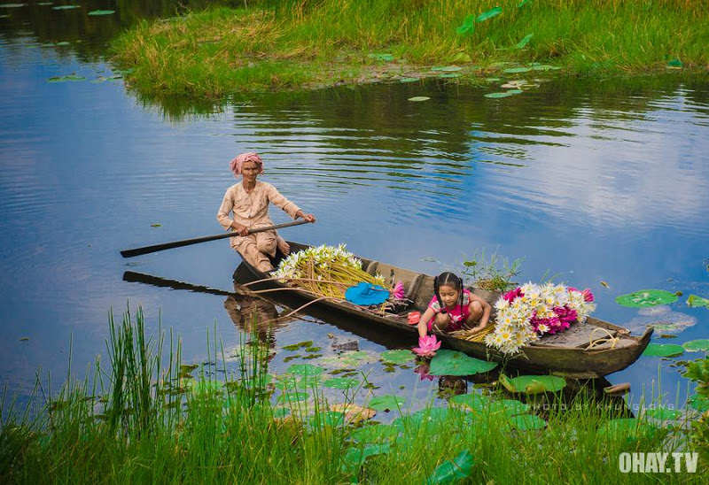 Hình bài viết Về Đồng Tháp săn cá linh mùa nước nổi