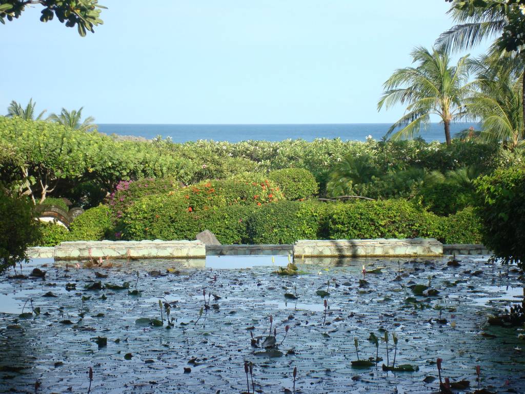 Hình ảnh Chụp từ khu nghỉ dưỡng Hyatt. Dọc bờ biển Bali có rất nhiều khu nghỉ dưỡng rất đẹp.  - Bali