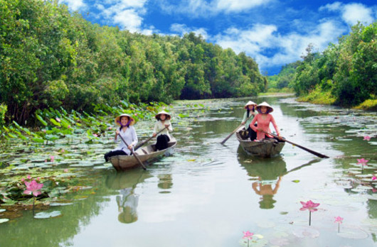 Hình bài viết Kinh nghiệm vàng cho người lần đầu tới Long An