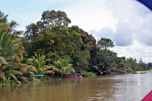 Hình ảnh Treasure of Temburong 01.jpg - Vườn Quốc gia Temburong