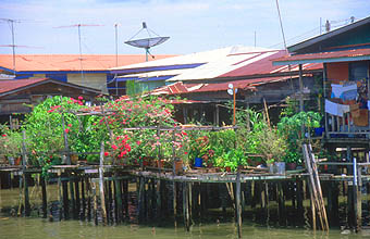 Hình ảnh Kampung Ayer 06.jpg - Làng nổi Kampong Ayer