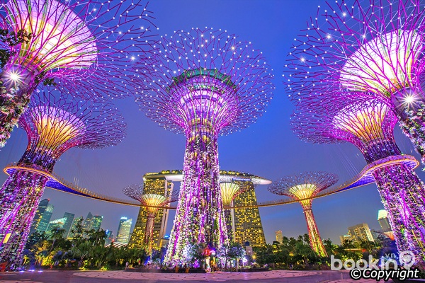Hình bài viết Bài viết mới