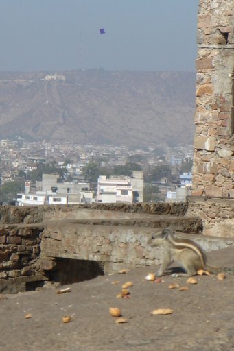 Hình ảnh Palace. Jaipur, India..JPG - Jaipur