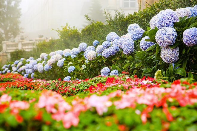 Hình bài viết Sự tích của "Bà Nà Hills"