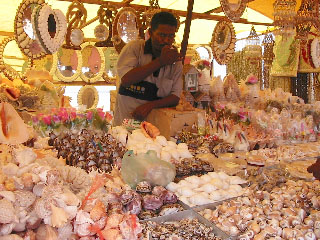 Hình ảnh Mumbai-shells-.jpg - Mumbai