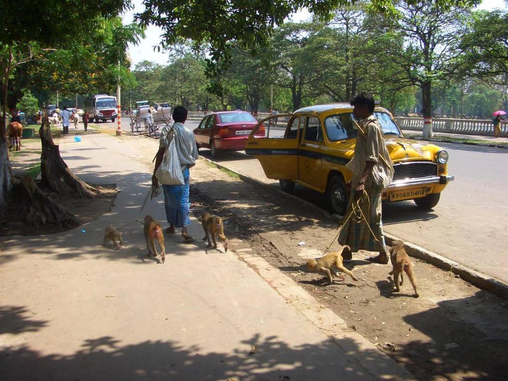 Hình ảnh kolkata042.jpg - Kolkata