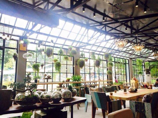 Hình bài viết Những quán Cafe đẹp nhất HN