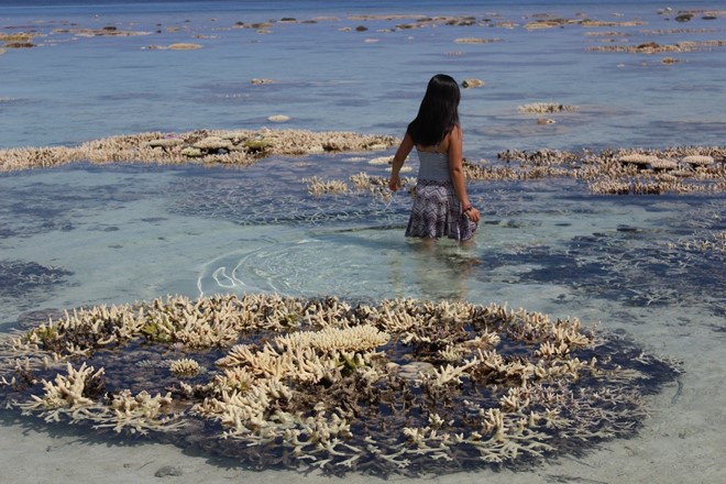 Hình bài viết Cách khám phá Maldives khi không rủng rỉnh tiền bạc