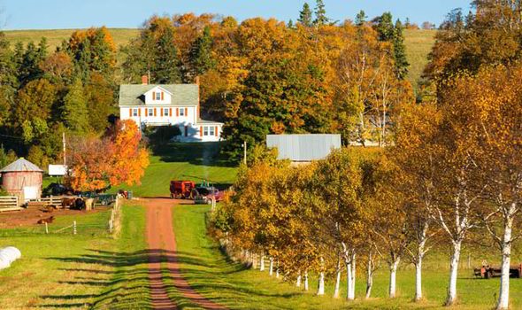 Hình bài viết Ngắm thu vàng ở Canada