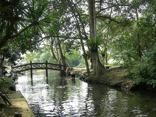 Hình ảnh Suối cá thần Cẩm Lương - Hang cá Cẩm Lương