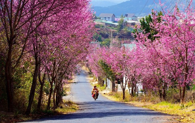 Hình bài viết 5 điểm du xuân lý tưởng năm 2017