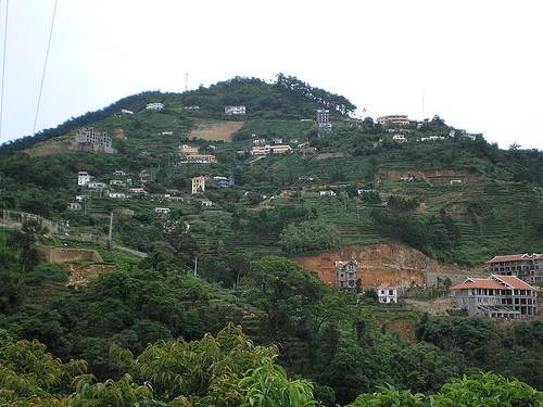 Hình ảnh Đỉnh Tam Đảo - Khu du lịch Tam Đảo