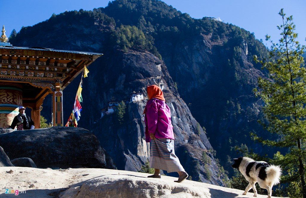 Hình bài viết Hang hổ