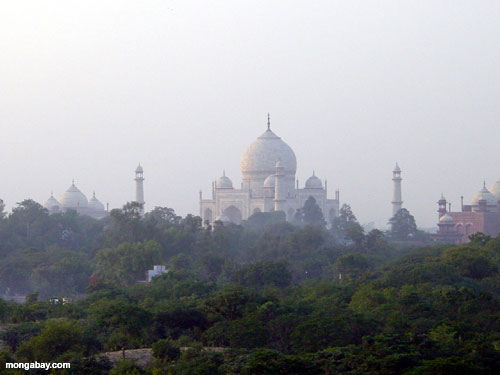 Hình ảnh Taj mahal - Đền Taj Mahal