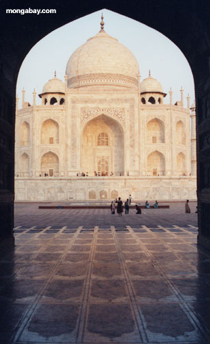 Hình ảnh Taj mahal - Đền Taj Mahal
