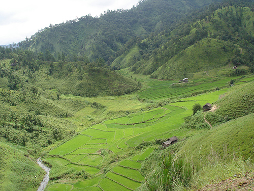 Hình ảnh Nông thôn ở Hakha - Hakha