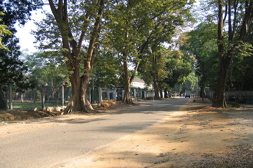 Hình ảnh Khuôn viên trường - Đại học Yangon