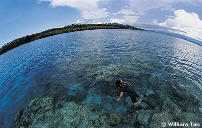 Hình ảnh Thiên nhiên bunaken - Công viên quốc gia Bunaken