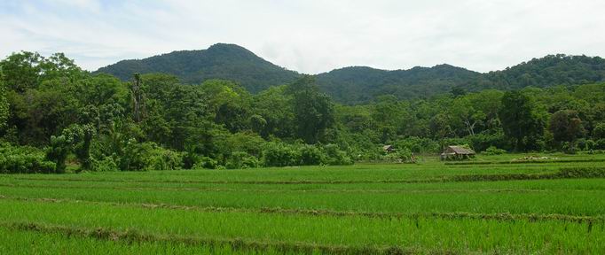 Hình ảnh THiên nhiên ujung - Vườn quốc gia Ujung Kulon