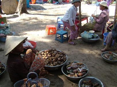Hình bài viết Nhớ hải sản Phan Thiết