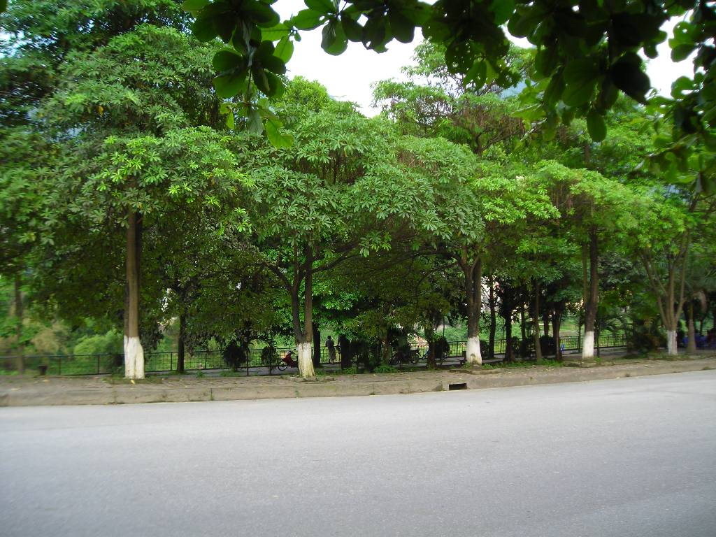 Hình ảnh Góc phố  - Hà Giang