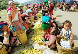 Hình ảnh Chợ Pha Long 5 - Chợ Pha Long