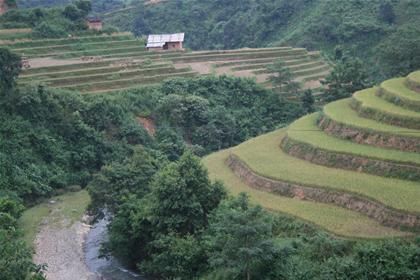 Hình ảnh Ben tro mau dat - ben da len xanh - Cao Nguyên Đồng Văn