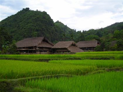 Hình ảnh Nhà người Tày ở Hà Giang - Hà Giang