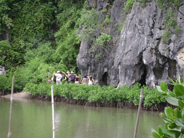 Hình ảnh Hang Thiên Long 1 - Hang Thiên Long