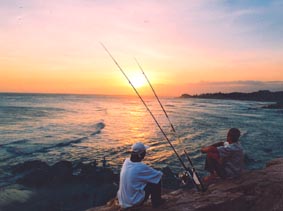 Hình bài viết Câu đêm trên mũi Nghinh Phong