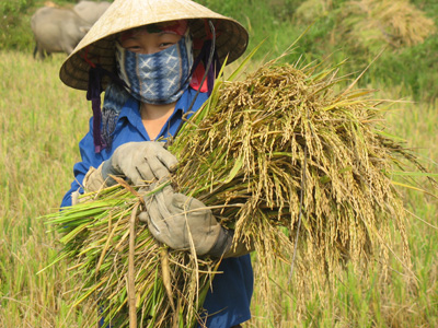 Hình ảnh Ảnh: Nguyễn Danh Thắng - Hà Tĩnh