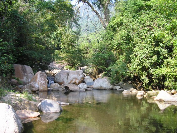 Hình ảnh Suối Tiên 3 - Suối Tiên
