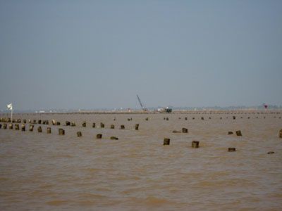 Hình ảnh Bãi cọc Bạch Ðằng 2 - Bãi cọc Bạch Ðằng