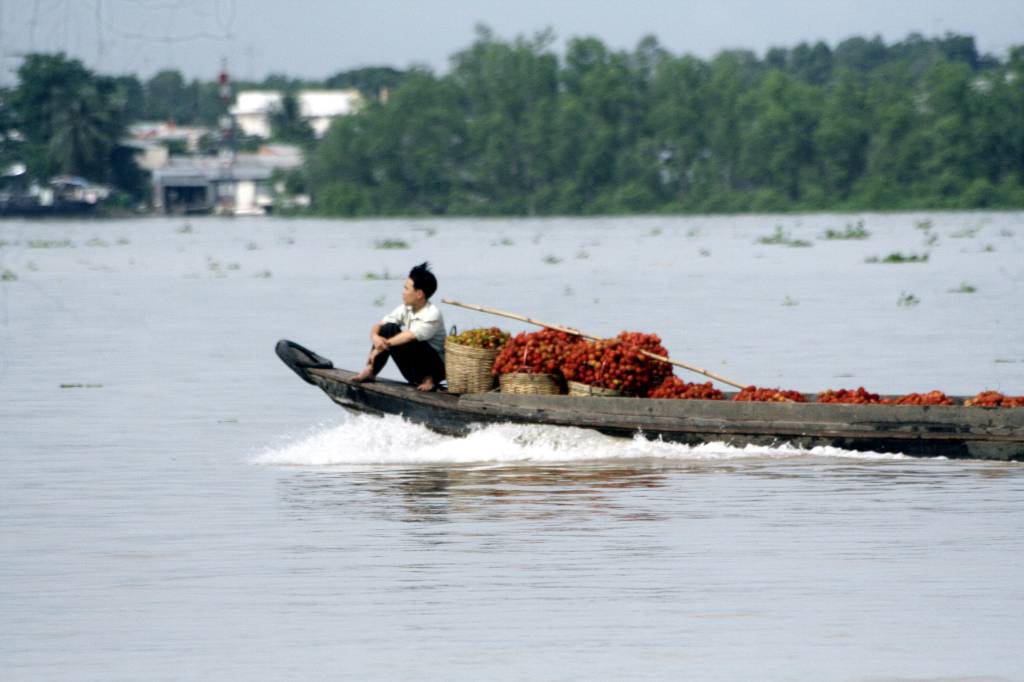 Hình ảnh _MG_3326.jpg - Cần Thơ