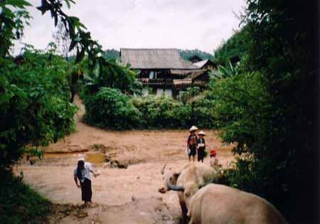 Hình ảnh db03 - Điện Biên