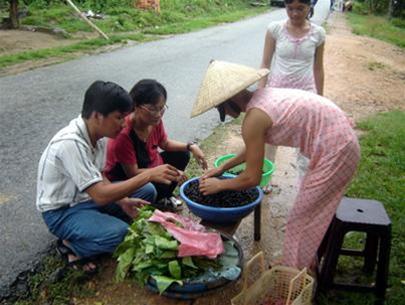 Hình bài viết Rau ranh, ốc đá