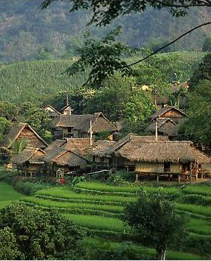 Hình ảnh maichau - Điện Biên