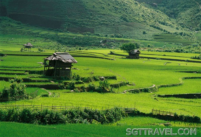 Hình ảnh Mountain49 - Điện Biên