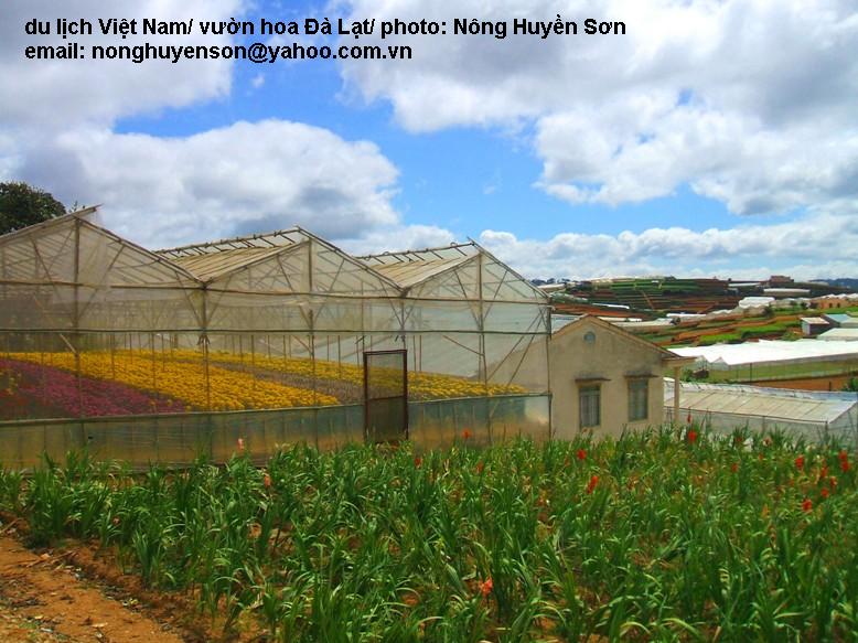 Hình ảnh DSCF3538.JPG - Đà Lạt