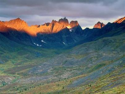 Hình ảnh 3 - Yukon