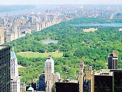 Hình bài viết 7 nơi săn ảnh đẹp nhất ở New York