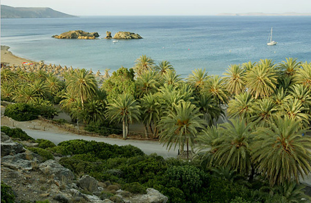 Hình ảnh 4 - Crete