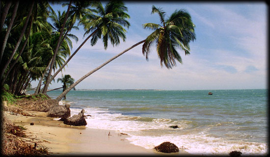 Hình ảnh wide_beach.jpg - Bình Thuận